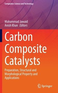 bokomslag Carbon Composite Catalysts