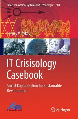 bokomslag IT Crisisology Casebook