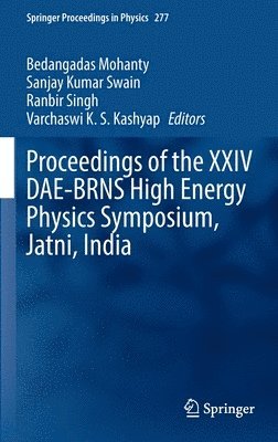 bokomslag Proceedings of the XXIV DAE-BRNS High Energy Physics Symposium, Jatni, India