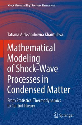 Tatiana Aleksandrovna Khantuleva - Mathematical Modeling of Shock-Wave Processes in Condensed Matter, Häftad