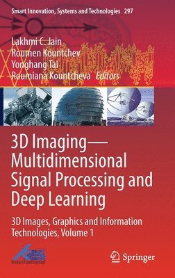 bokomslag 3D ImagingMultidimensional Signal Processing and Deep Learning