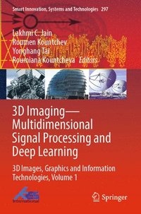 bokomslag 3D ImagingMultidimensional Signal Processing and Deep Learning