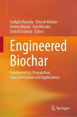 Engineered Biochar 1