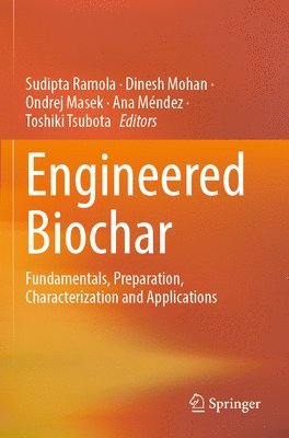 Engineered Biochar 1