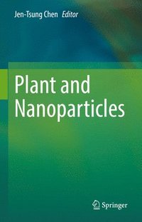 bokomslag Plant and Nanoparticles