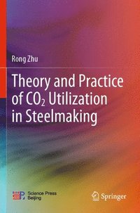 bokomslag Theory and Practice of CO2 Utilization in Steelmaking