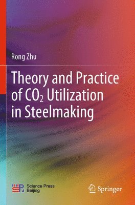 bokomslag Theory and Practice of CO2 Utilization in Steelmaking