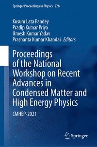bokomslag Proceedings of the National Workshop on Recent Advances in Condensed Matter and High Energy Physics