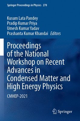 bokomslag Proceedings of the National Workshop on Recent Advances in Condensed Matter and High Energy Physics