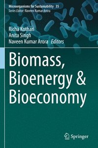 bokomslag Biomass, Bioenergy & Bioeconomy