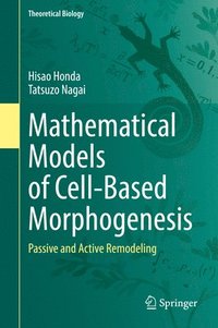 bokomslag Mathematical Models of Cell-Based Morphogenesis