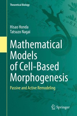 Mathematical Models of Cell-Based Morphogenesis 1