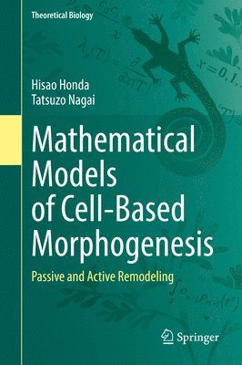 Hisao Honda, Tatsuzo Nagai - Mathematical Models of Cell-Based Morphogenesis, Inbunden