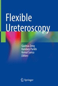 bokomslag Flexible Ureteroscopy