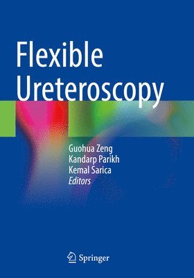 bokomslag Flexible Ureteroscopy