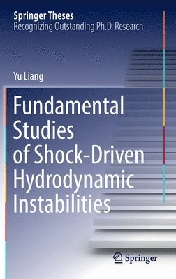 bokomslag Fundamental Studies of Shock-Driven Hydrodynamic Instabilities