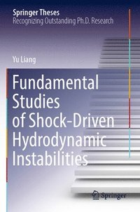 bokomslag Fundamental Studies of Shock-Driven Hydrodynamic Instabilities