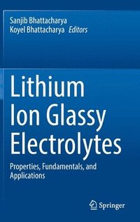 bokomslag Lithium Ion Glassy Electrolytes