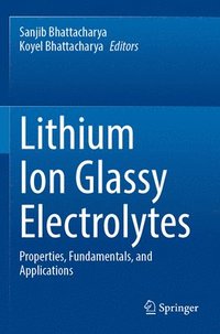 bokomslag Lithium Ion Glassy Electrolytes