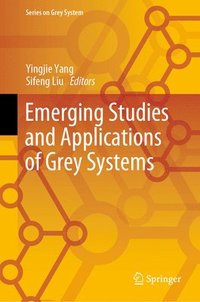 bokomslag Emerging Studies and Applications of Grey Systems