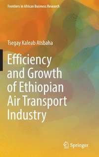 bokomslag Efficiency and Growth of Ethiopian Air Transport Industry