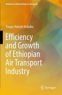 bokomslag Efficiency and Growth of Ethiopian Air Transport Industry