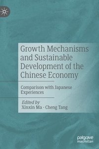 bokomslag Growth Mechanisms and Sustainable Development of the Chinese Economy