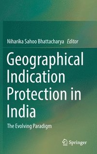 bokomslag Geographical Indication Protection in India