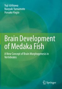 bokomslag Brain Development of Medaka Fish