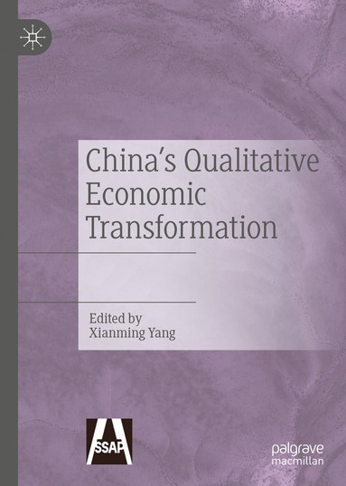 bokomslag China's Qualitative Economic Transformation