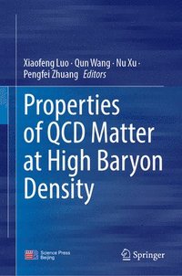 bokomslag Properties of QCD Matter at High Baryon Density