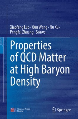Properties of QCD Matter at High Baryon Density 1