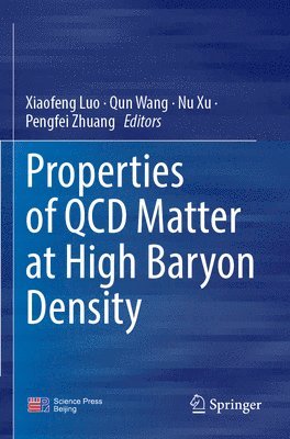 Properties of QCD Matter at High Baryon Density 1