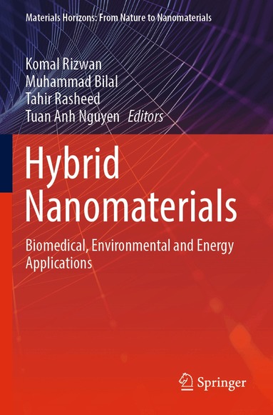 Komal Rizwan, Muhammad Bilal, Tahir Rasheed, Tuan Anh Nguyen - Hybrid Nanomaterials, Häftad
