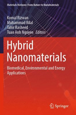 bokomslag Hybrid Nanomaterials