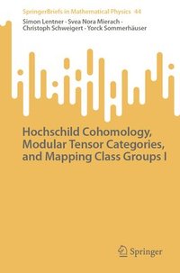 bokomslag Hochschild Cohomology, Modular Tensor Categories, and Mapping Class Groups I