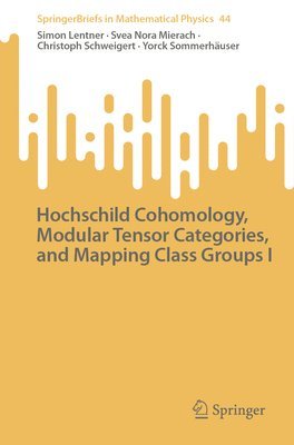 bokomslag Hochschild Cohomology, Modular Tensor Categories, and Mapping Class Groups I