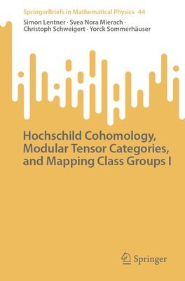 Hochschild Cohomology, Modular Tensor Categories, and Mapping Class Groups I 1