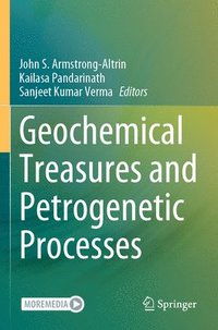 bokomslag Geochemical Treasures and Petrogenetic Processes