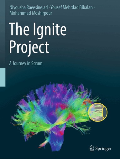 Niyousha Raeesinejad, Yousef Mehrdad Bibalan, Mohammad Moshirpour - Ignite Project, Häftad