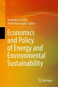bokomslag Economics and Policy of Energy and Environmental Sustainability