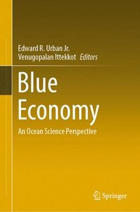 bokomslag Blue Economy
