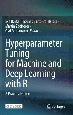 bokomslag Hyperparameter Tuning for Machine and Deep Learning with R