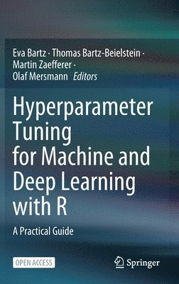 Hyperparameter Tuning for Machine and Deep Learning with R 1