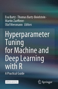 bokomslag Hyperparameter Tuning for Machine and Deep Learning with R