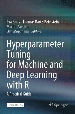 Hyperparameter Tuning for Machine and Deep Learning with R 1