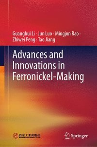 bokomslag Advances and Innovations in Ferronickel-Making