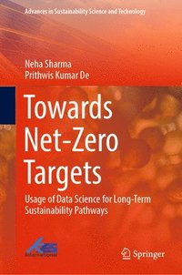 bokomslag Towards Net-Zero Targets