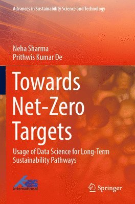 bokomslag Towards Net-Zero Targets