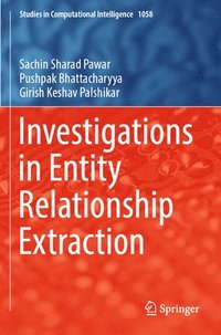 bokomslag Investigations in Entity Relationship Extraction